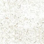Organoid_wildspitze_light